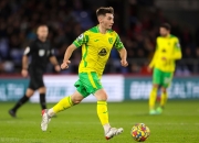 南宫体育-包含凯恩遭遇七连败，塞尔维亚队教练面临压力！的词条